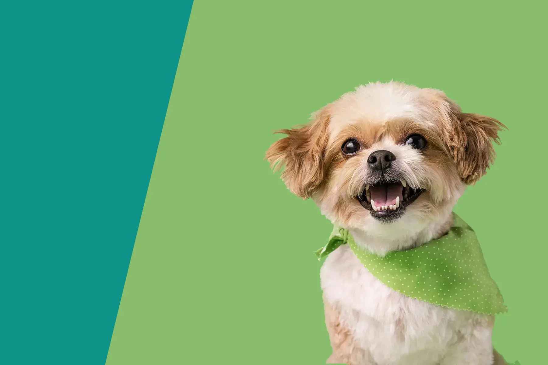 Pawline Veterinary